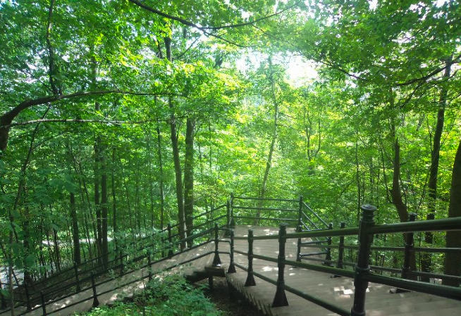 Walking around Mont Royal park, and going on top of it, being able to see the whole city from above! // Caminar en el parque de Mont Royal, y al subir, ver toda la ciudad de Montréal desde arriba - Picture by Andrea Arzaba